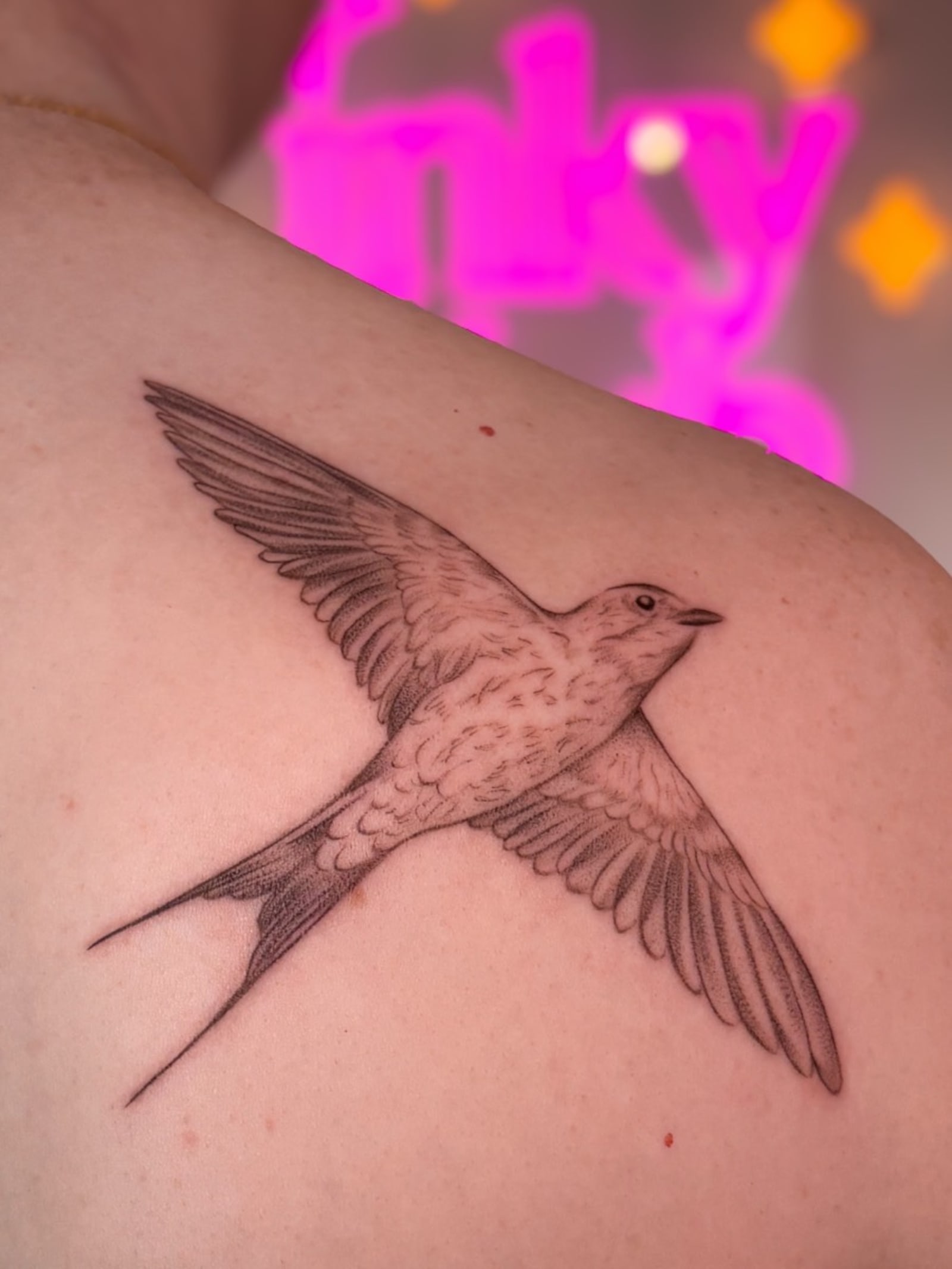 Fine line swallow tattoo in flight on a shoulder, feathers shaded in delicate dotwork