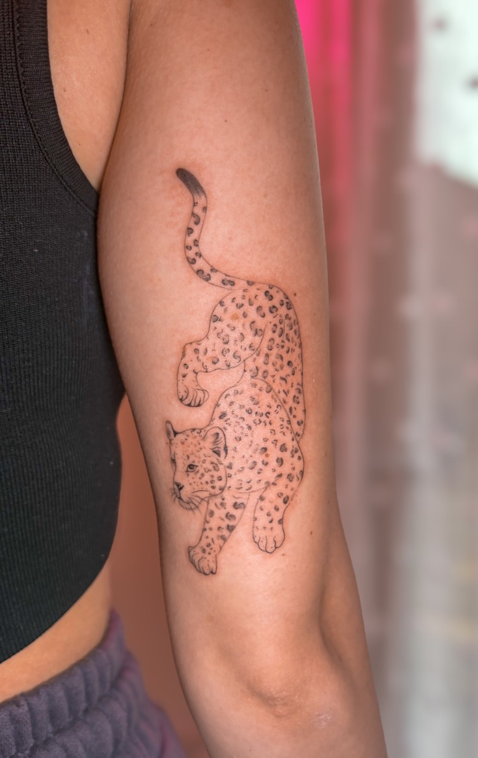 Fine line leopard tattoo prowling down an upper arm